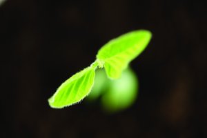 系统避坑指南：新手常犯的10个错误